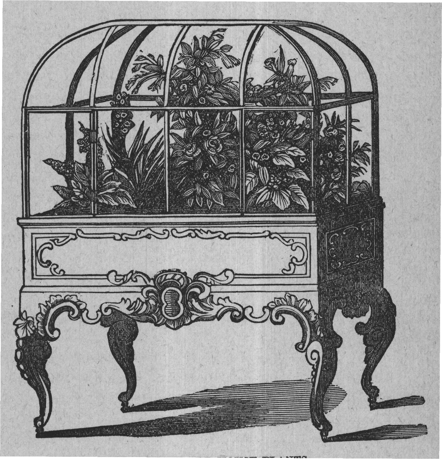 GLASS CASE FOR HOUSE-PLANTS.