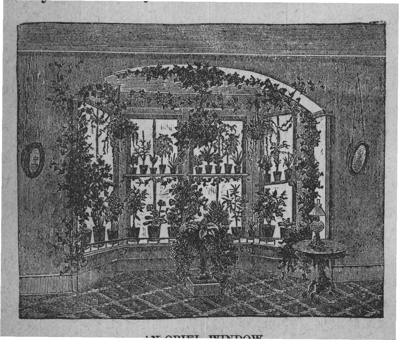 AN ORIEL WINDOW.