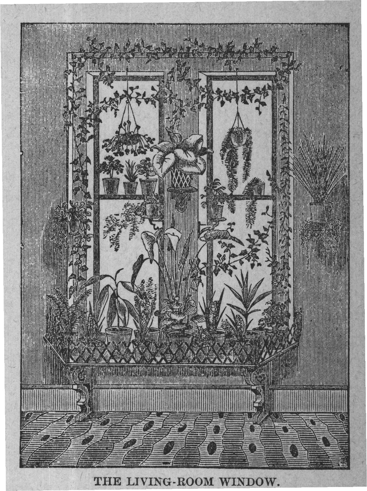 THE LIVING-ROOM WINDOW.