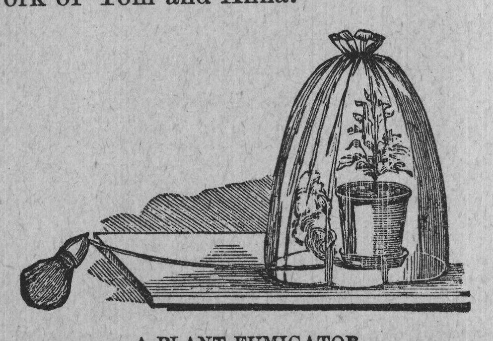 A PLANT FUMIGATOR.