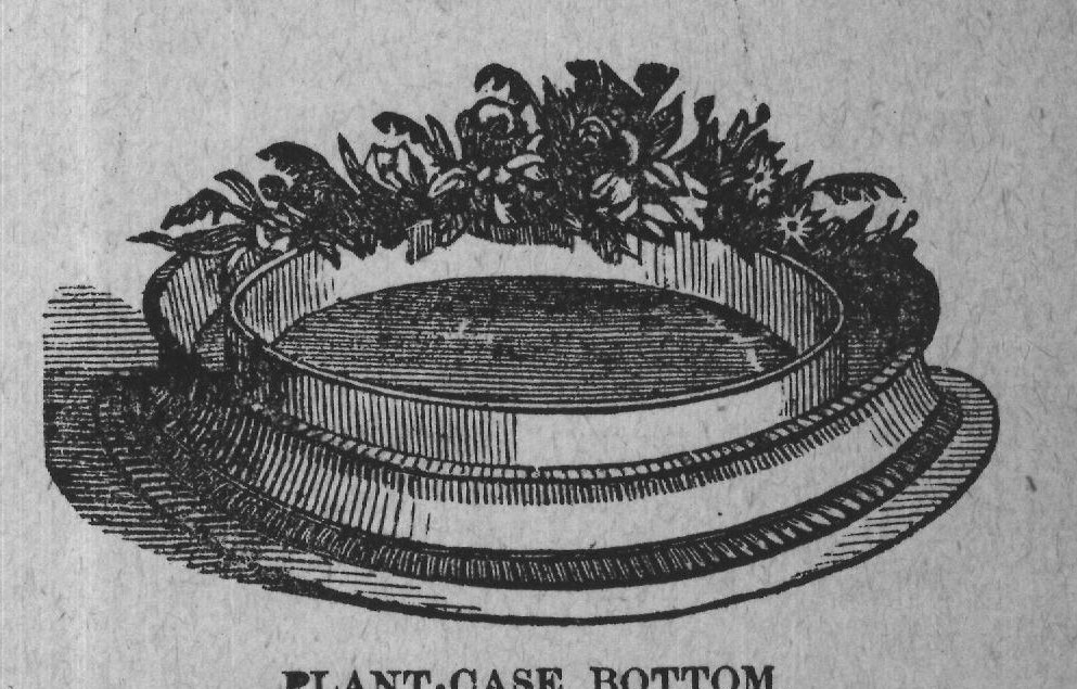 PLANT-CASE BOTTOM.