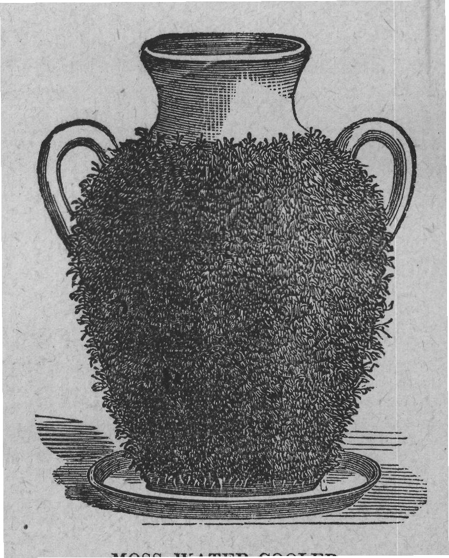 MOSS WATER-COOLER.