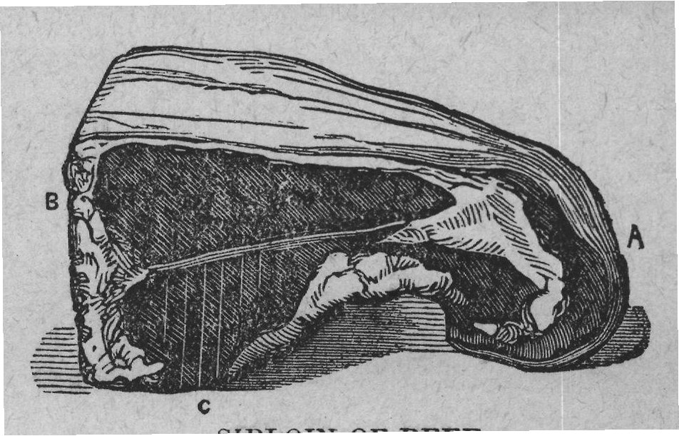 SIRLOIN OF BEEF.