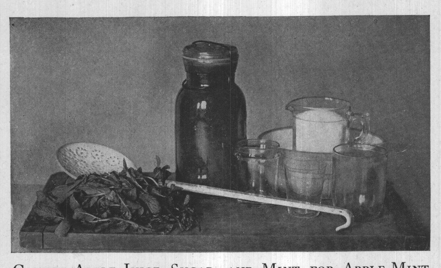 CANNED APPLE JUICE, SUGAR, AND MINT, FOR APPLE MINT