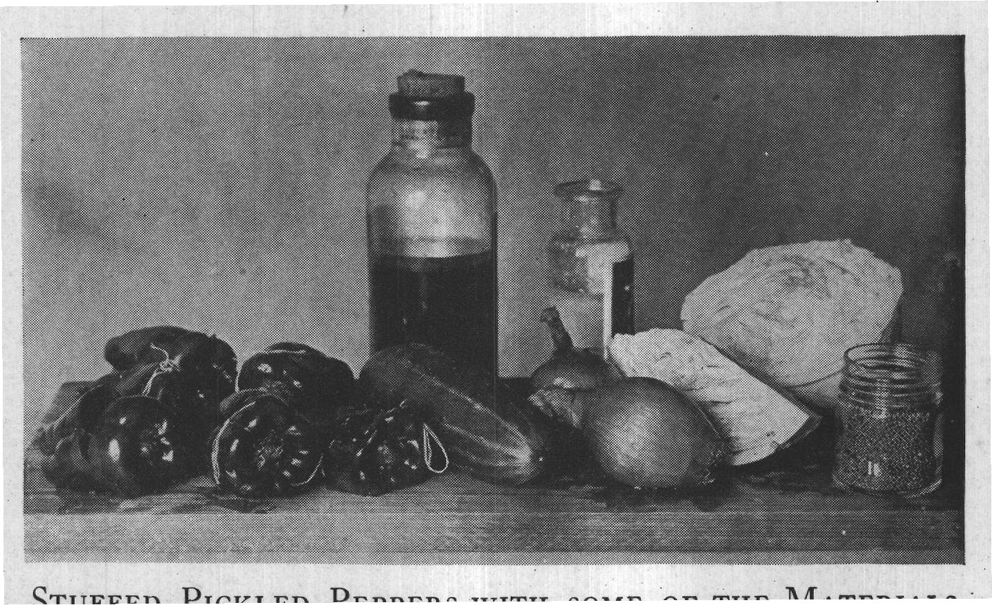 STUFFED PICKLED PEPPERS WITH SOME OF THE MATERIALS