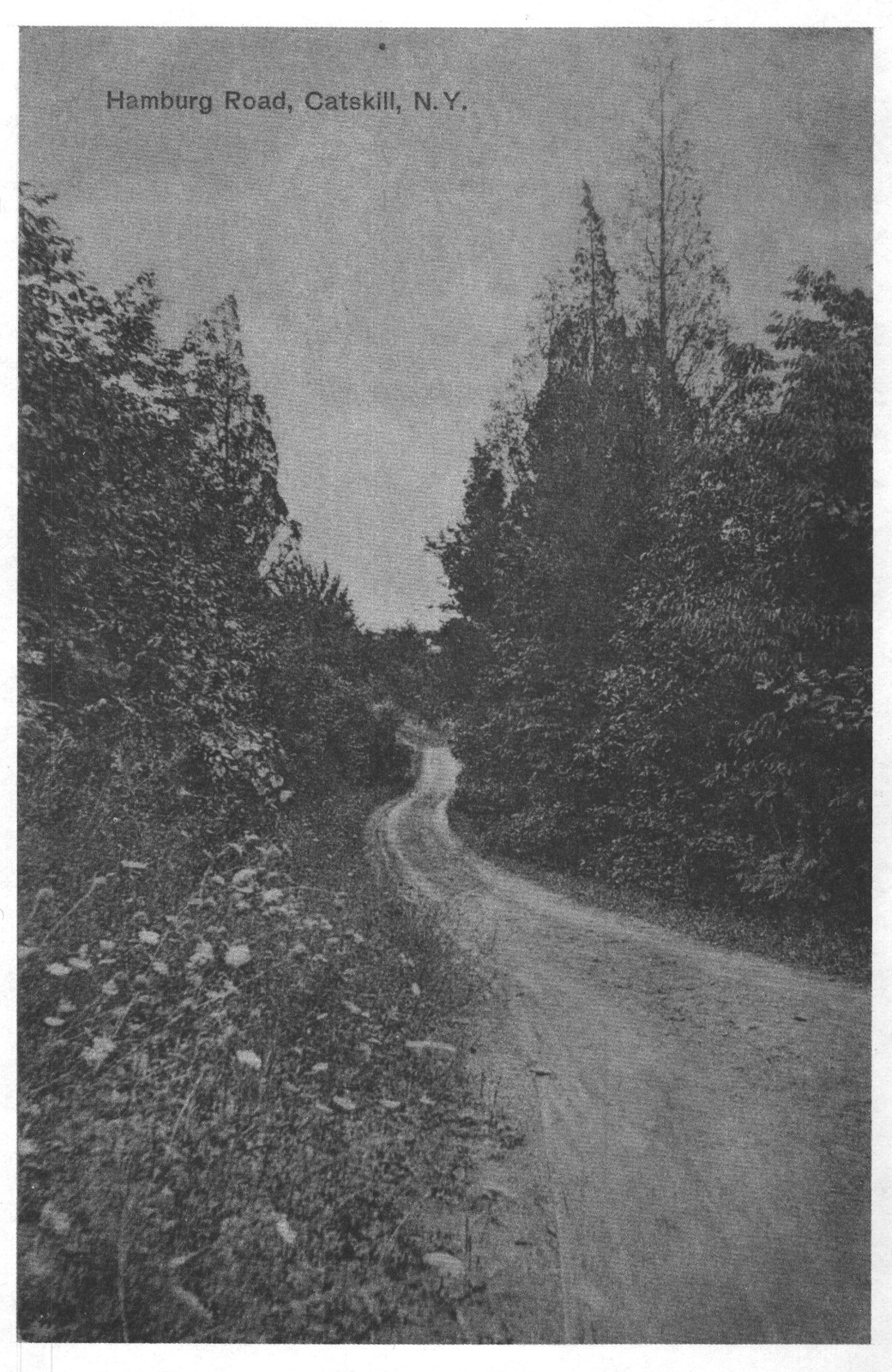 William Street, Catskill, N.y — from Catskill Cook Book (1911)