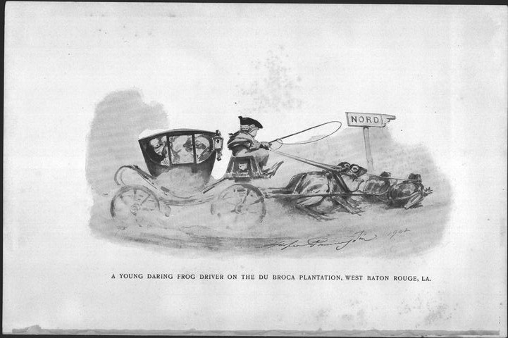 A Young Daring Frog Driver