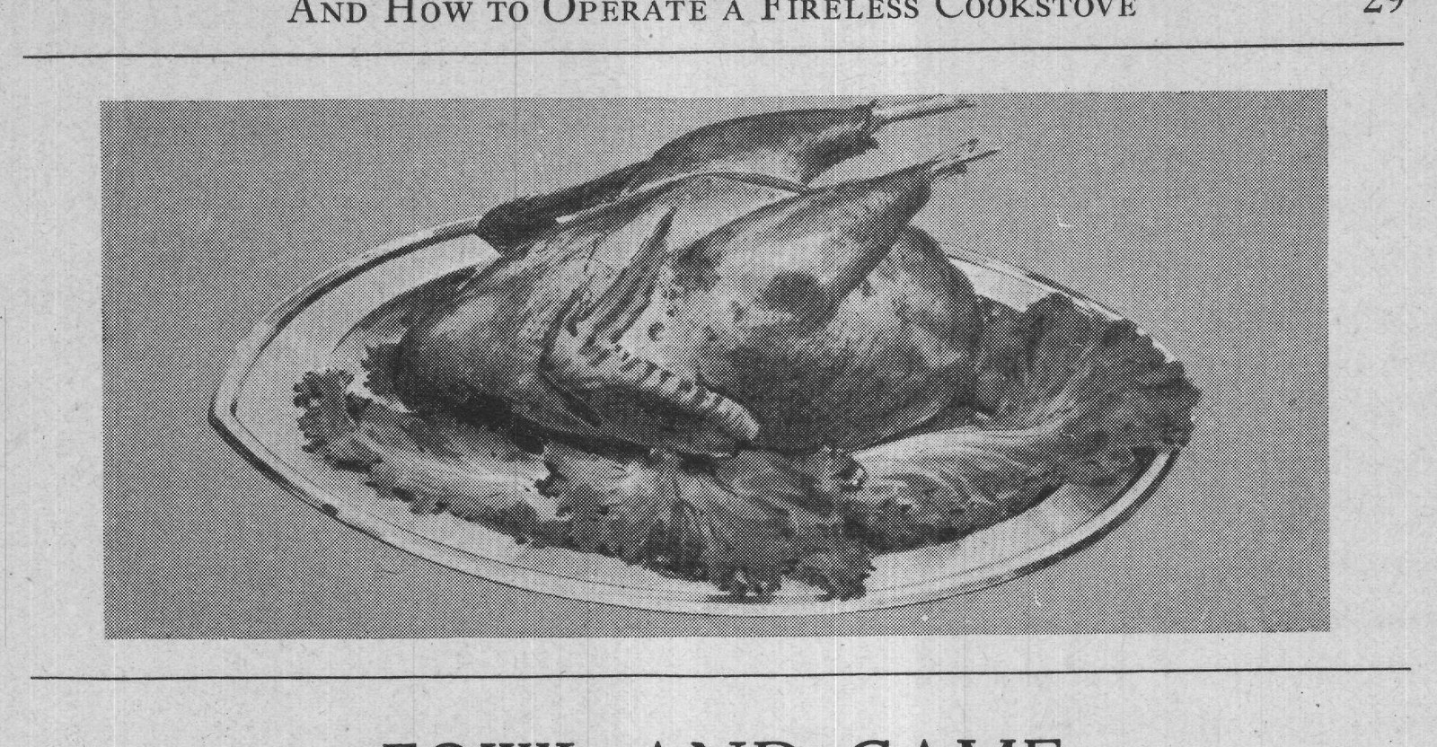 FOWL AND GAME