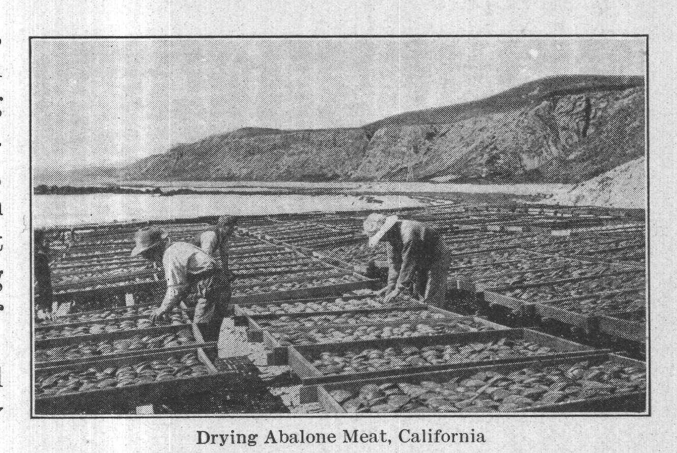 Meat Packing industries of the country — plate from The Grocer's Encyclopedia (1911)