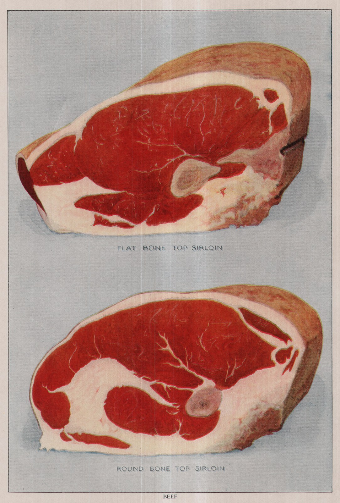 Beef — plate from The Grocer's Encyclopedia (1911)