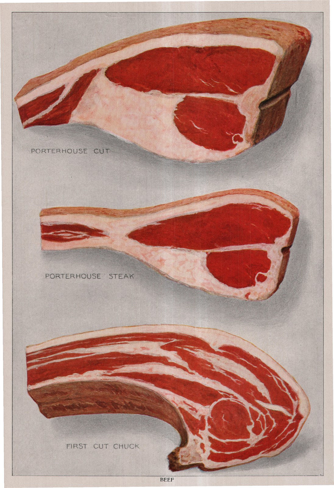 Beef — plate from The Grocer's Encyclopedia (1911)