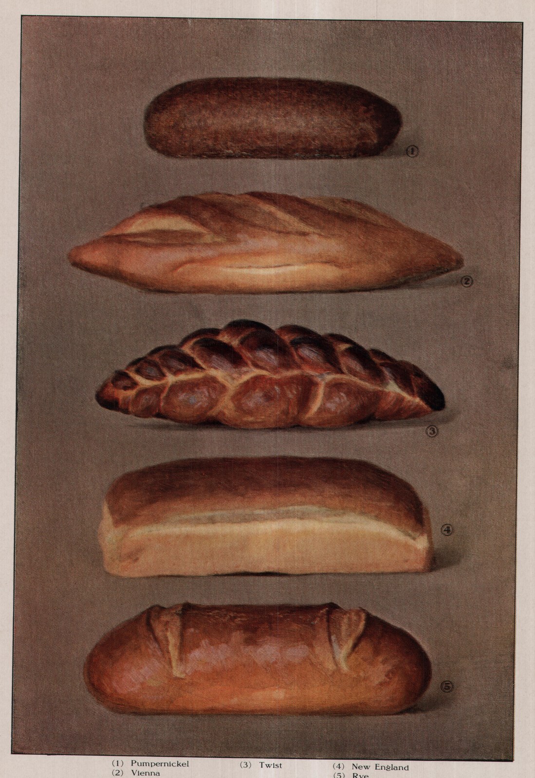 Pumpernickel — color plate from the 1911 edition