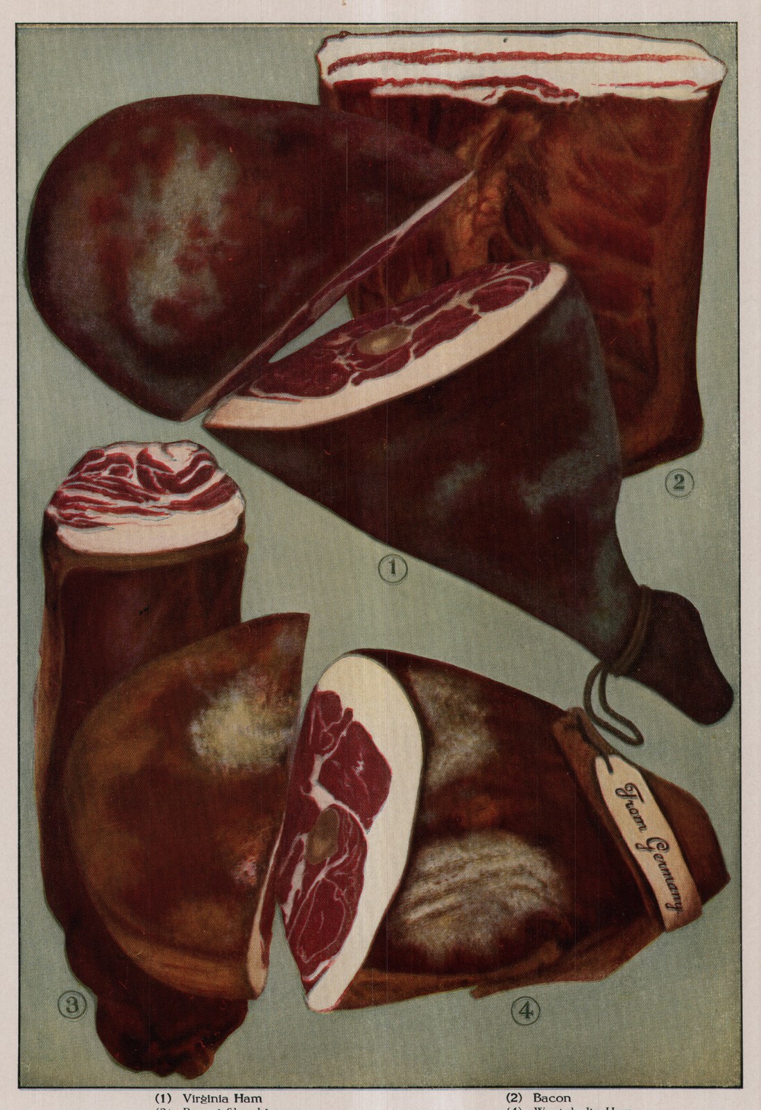 Bacon — plate from The Grocer's Encyclopedia (1911)