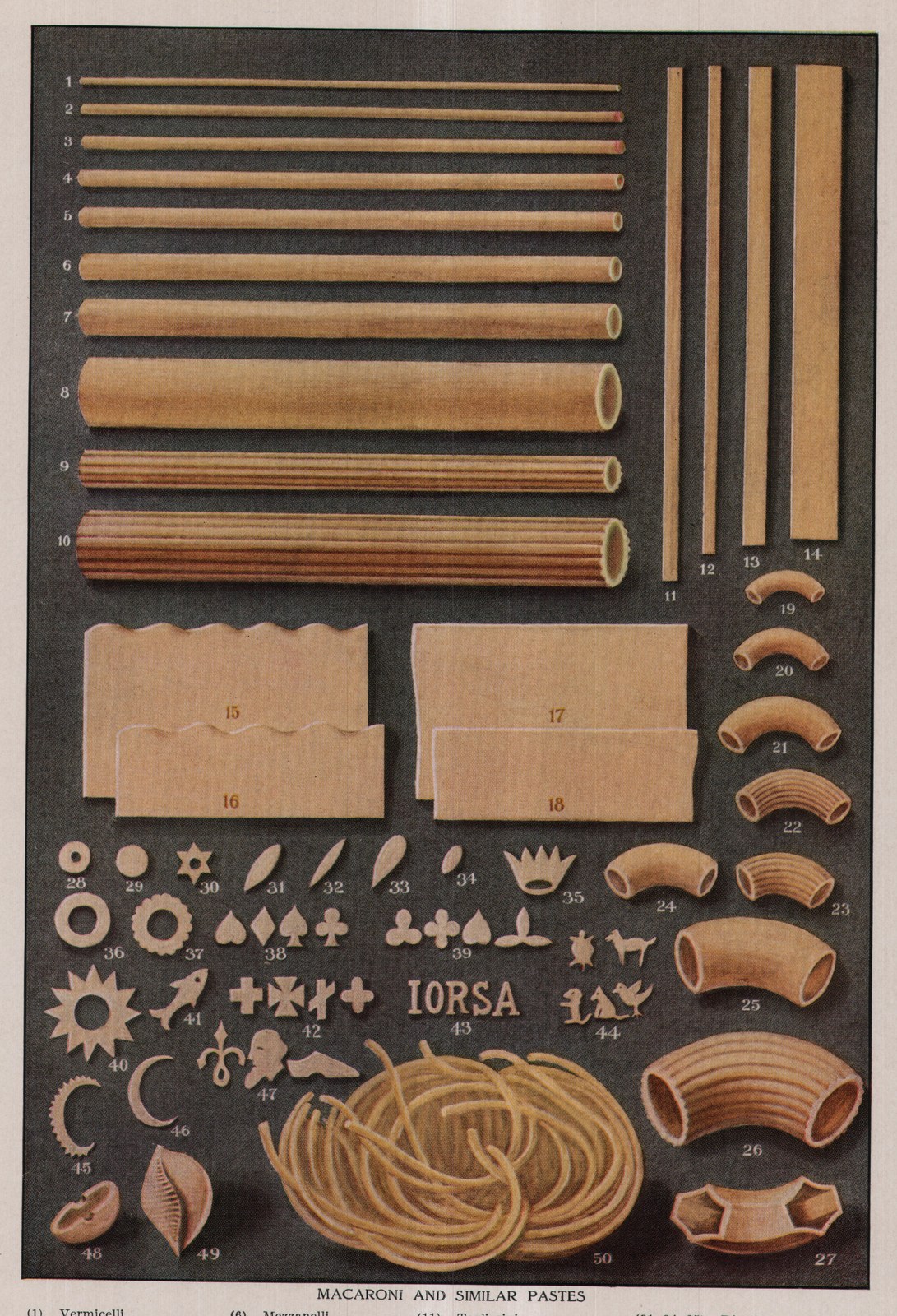 Macaroni And Similar Pastes — plate from The Grocer's Encyclopedia (1911)