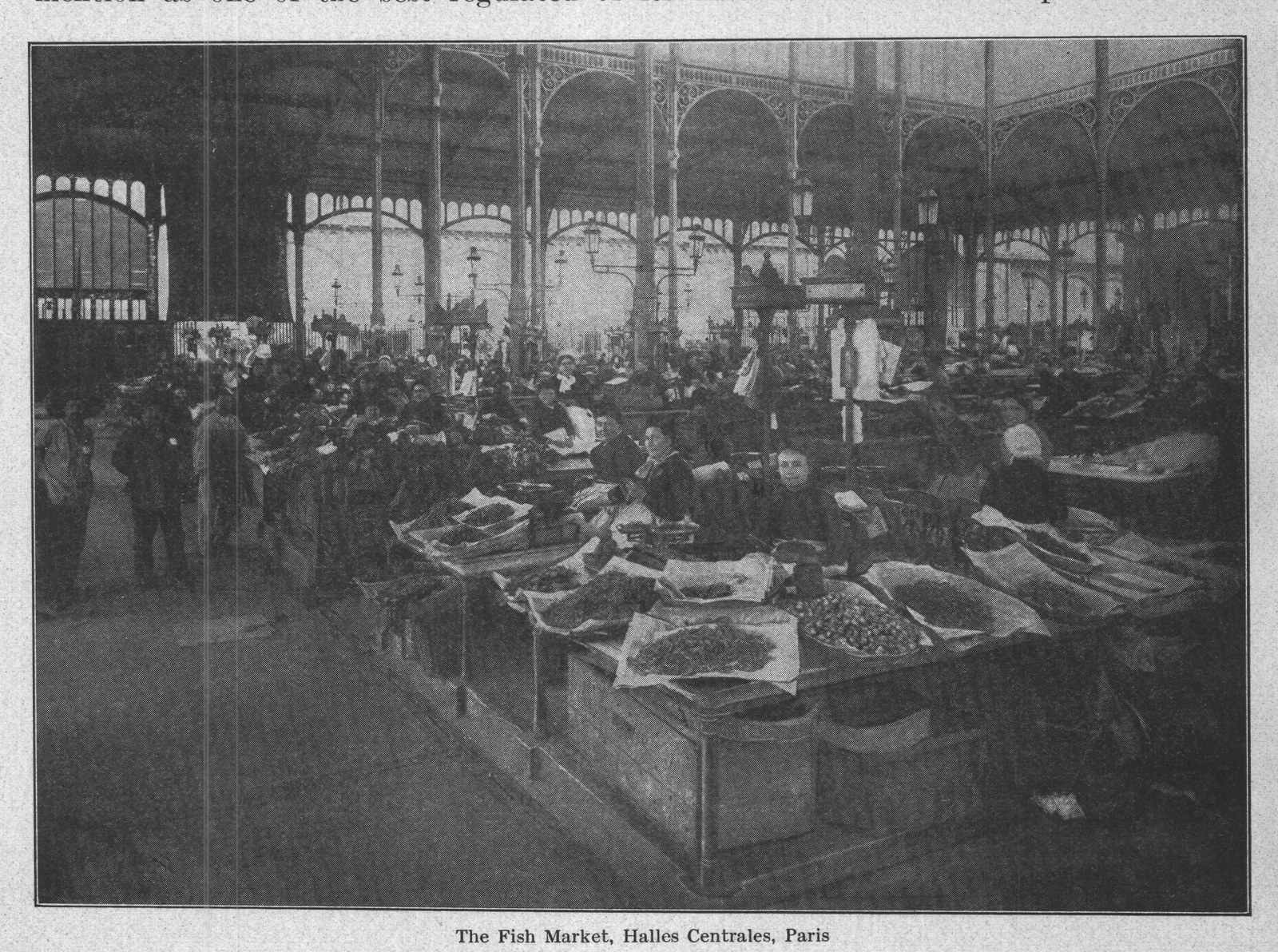 The Fish Market, Halles Centrales, Paris — plate from The Grocer's Encyclopedia (1911)