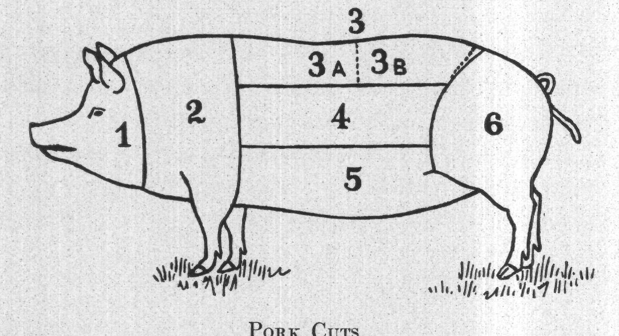 Pork Cuts — plate from The Grocer's Encyclopedia (1911)