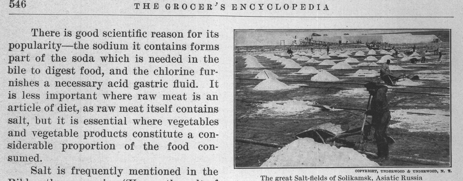 Salt is frequently mentioned in the — plate from The Grocer's Encyclopedia (1911)