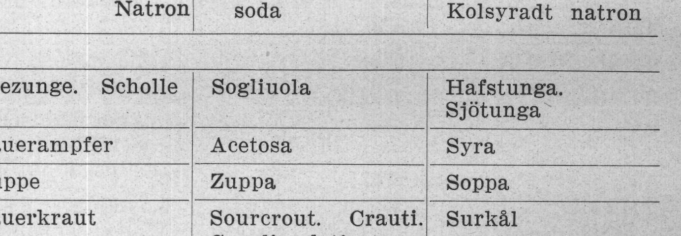 Sauerkraut — plate from The Grocer's Encyclopedia (1911)