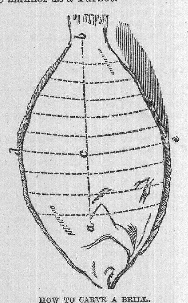 HOW TO CARVE A BRILL.