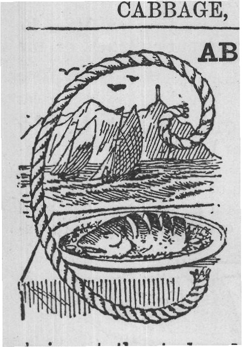 cabbages across