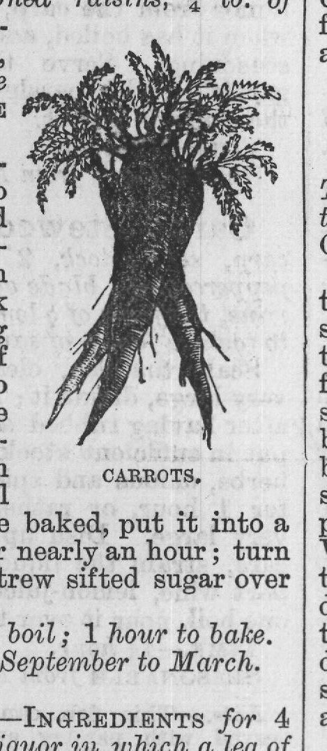 addition to stewed veal, &c.