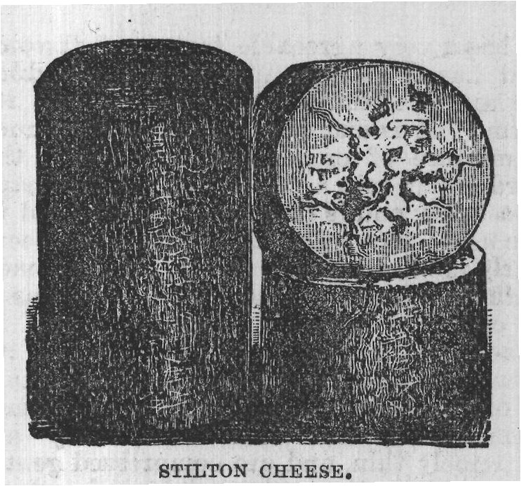 STILTON CHEESE.