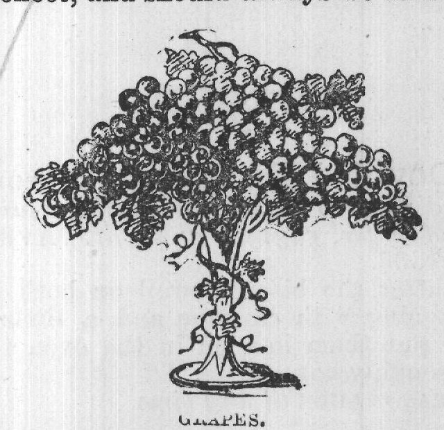 GRAPES.
