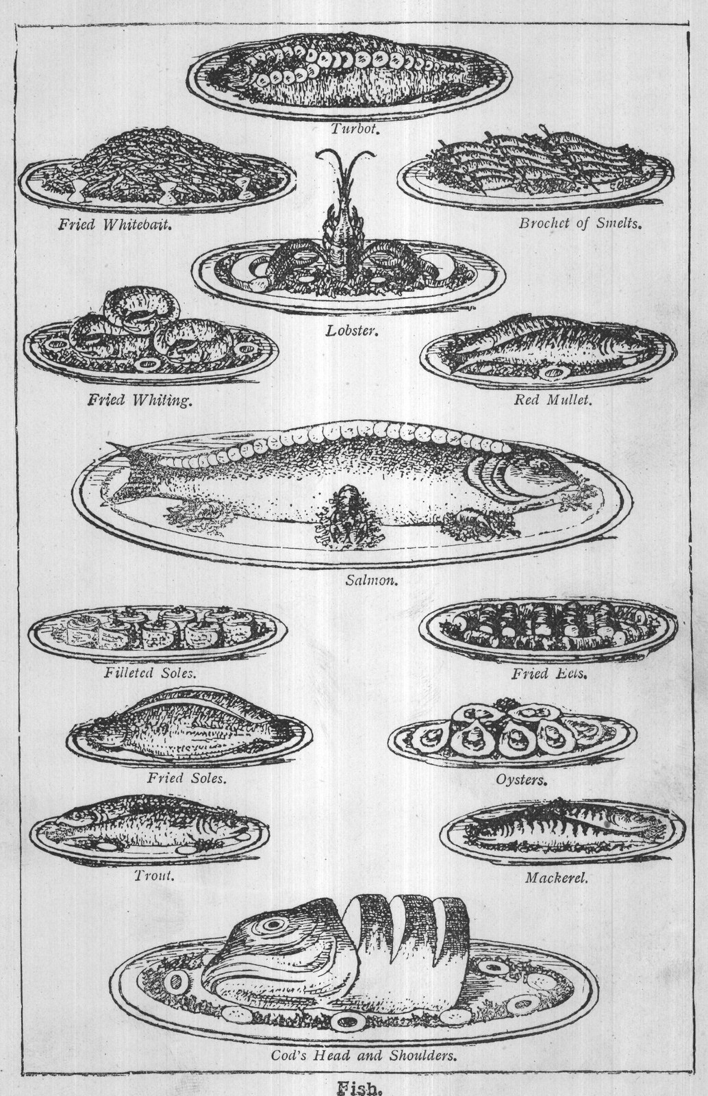 Fish.