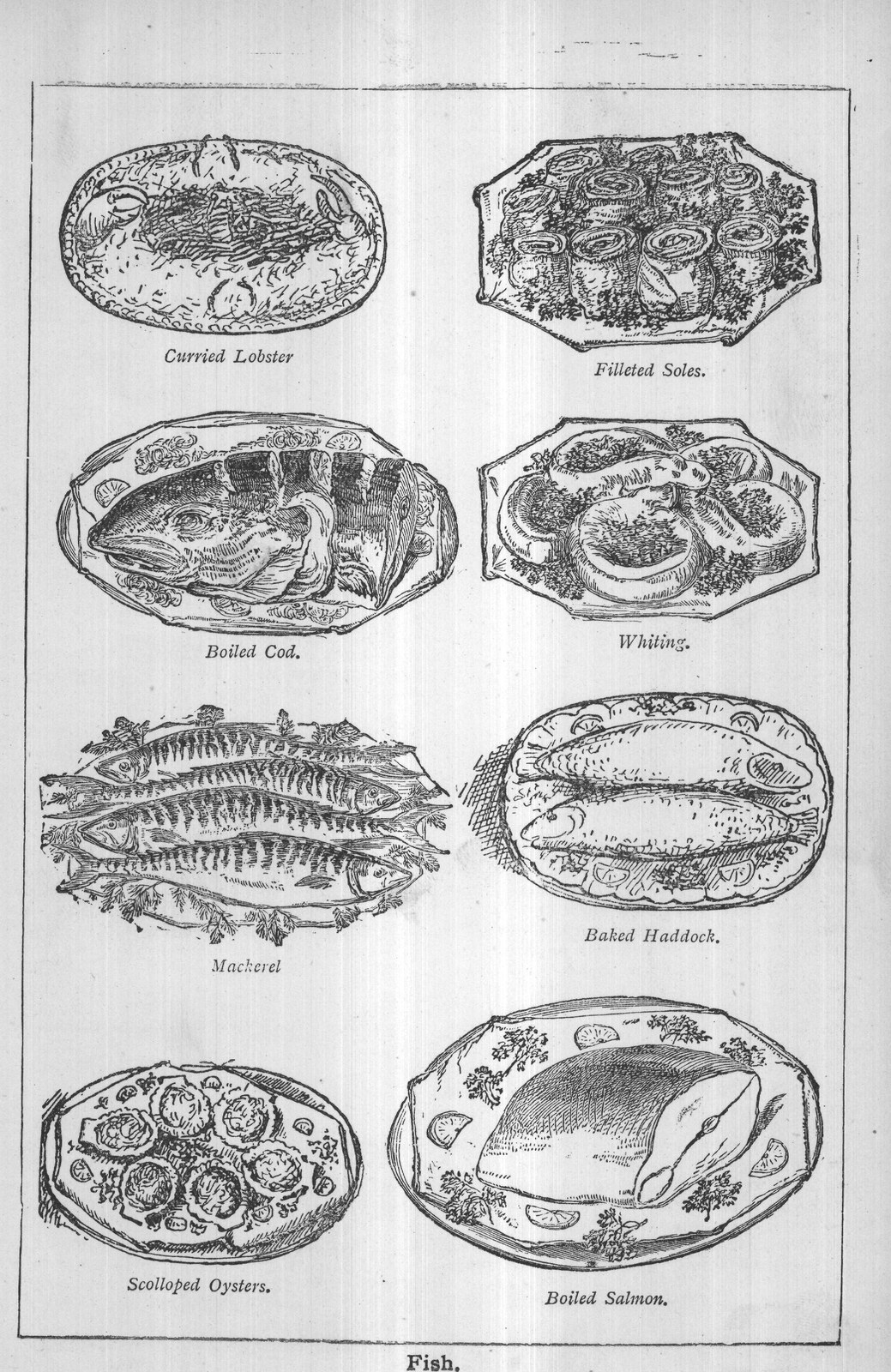 Fish.