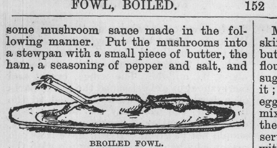 served on a border of mashed potatoes,