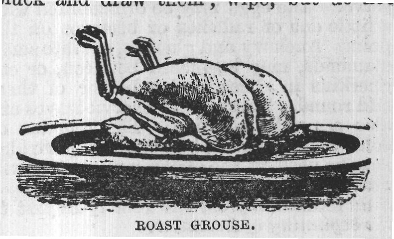 ROAST GROUSE.