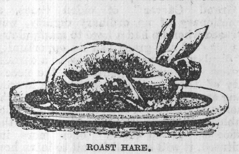 ROAST HARE.