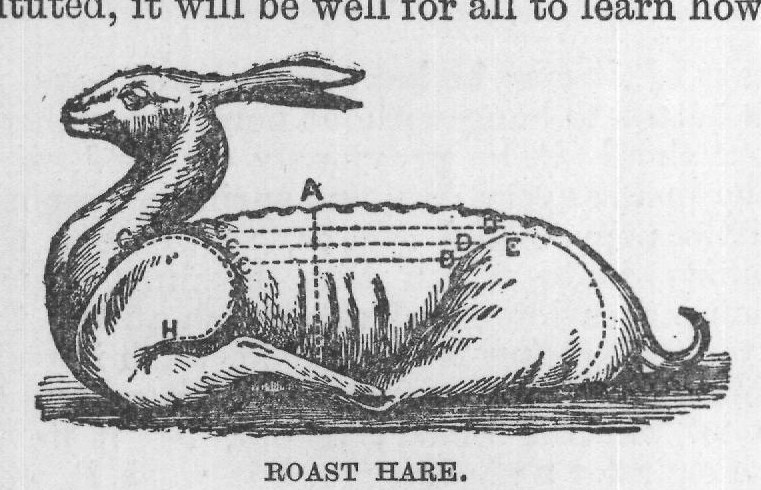 ROAST HARE.