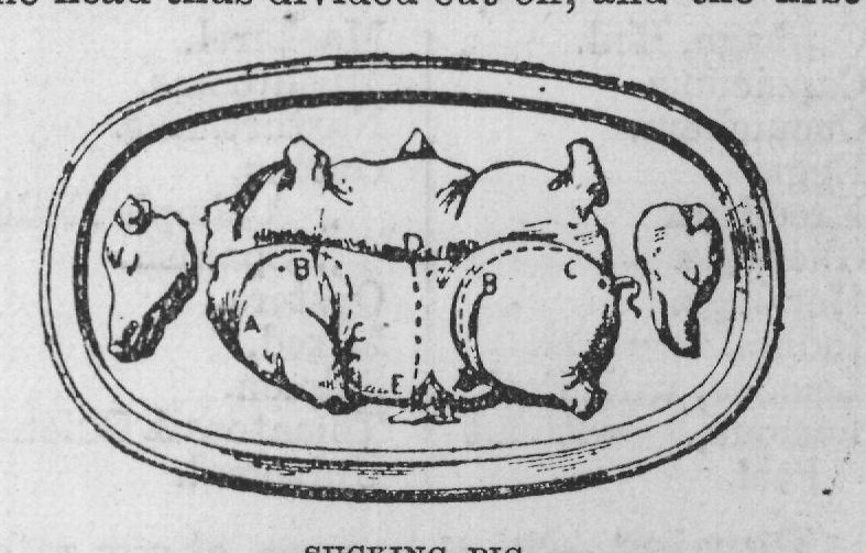 and cut bread-and-butter, milk, sugar and