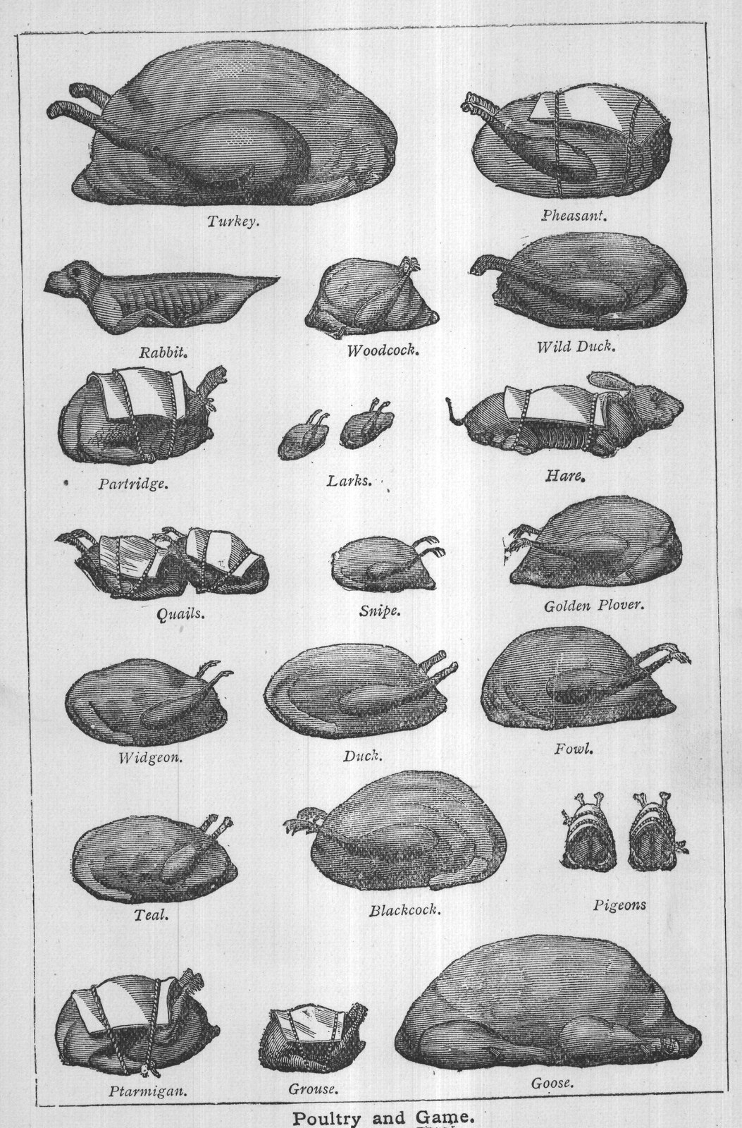 Poultry and Game.