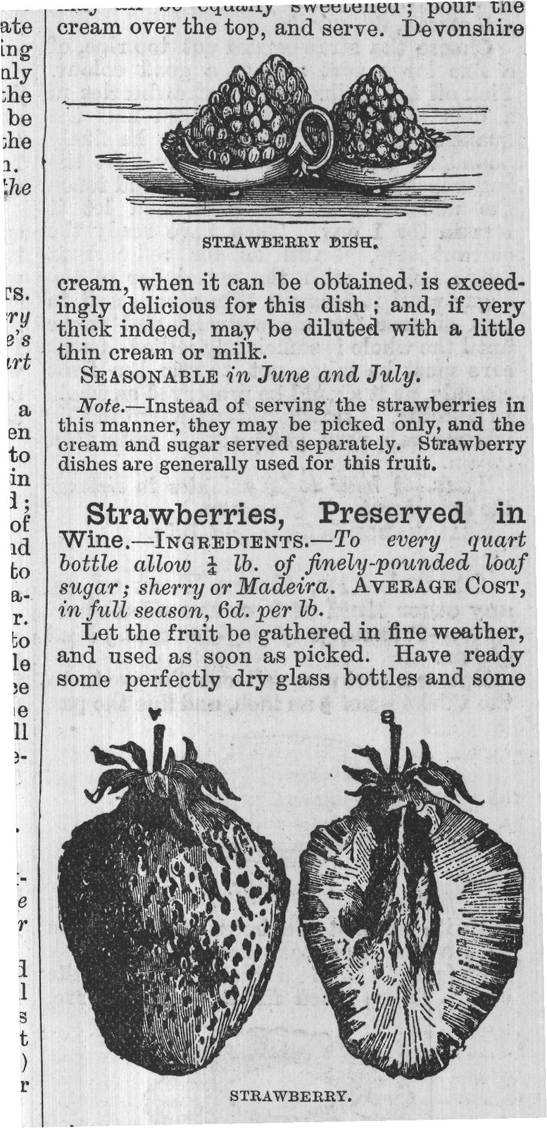 STRAWBERRY.