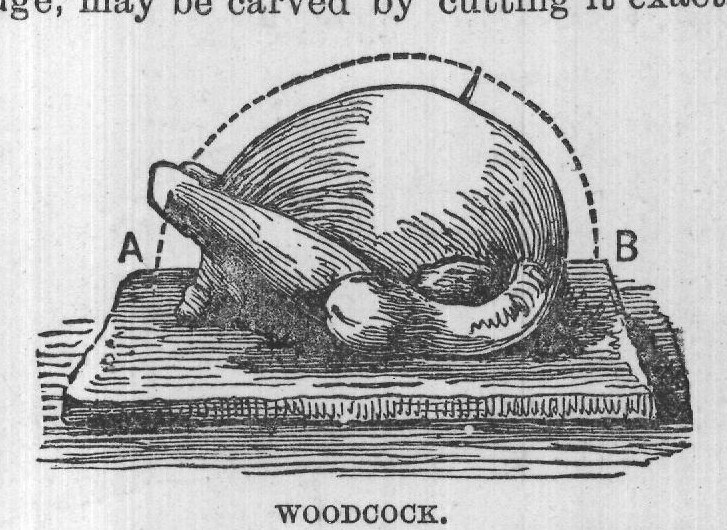 WOODCOCK.