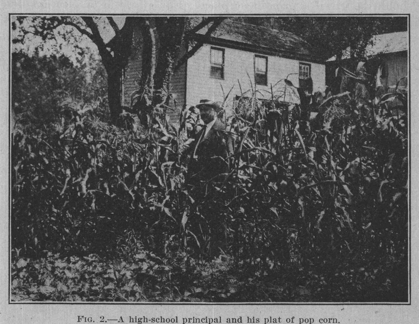 FIG. 2.-A high-school principal and his plat of pop corn.