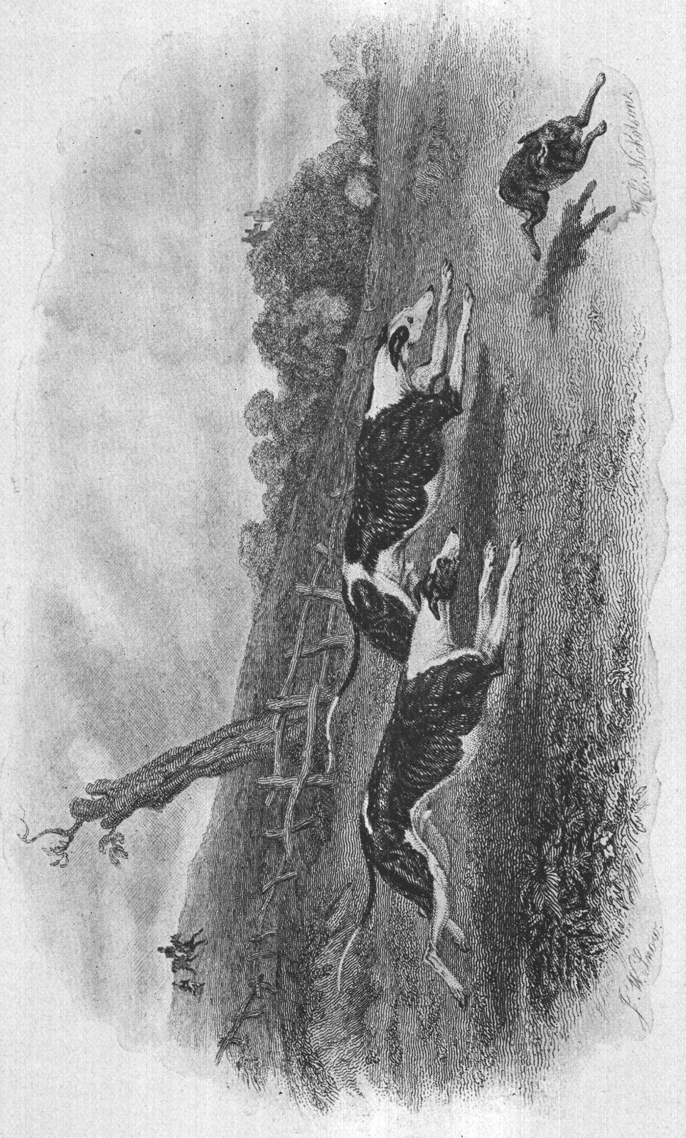 From the engraving by J. W. Snow