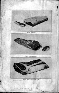 Household Discoveries and Mrs. Curtis's Cook Book